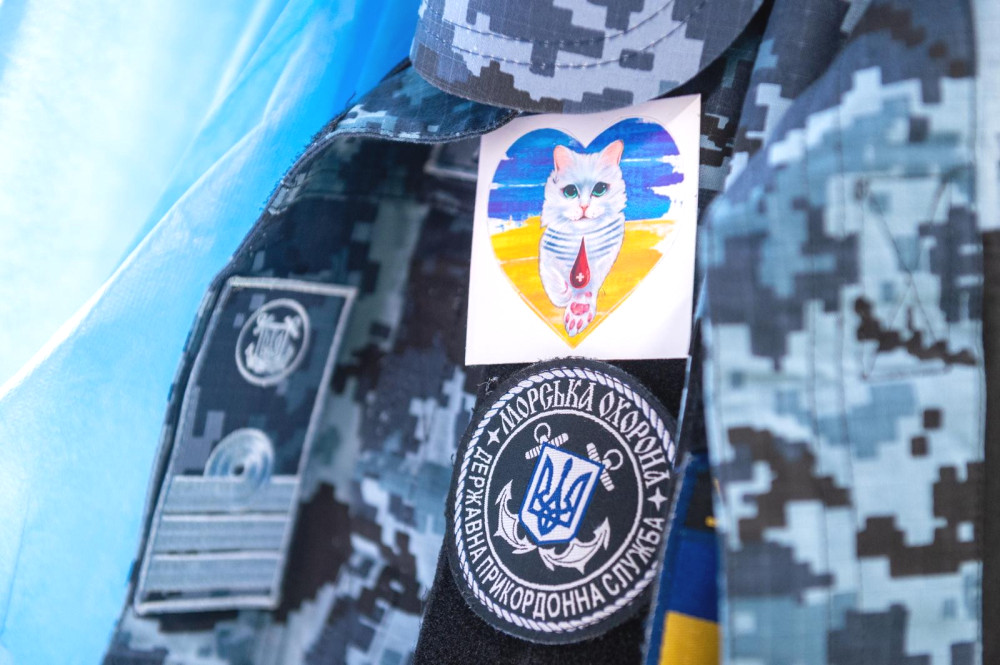 3373 image for slide