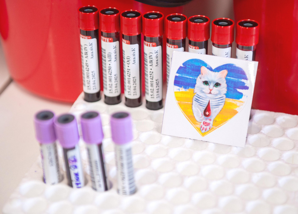 3378 image for slide