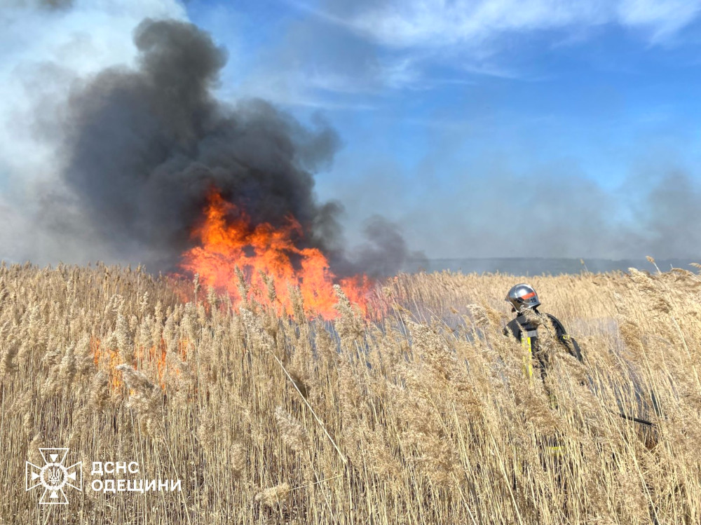 3501 image for slide