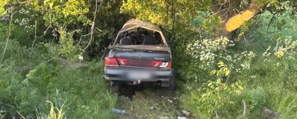 3668 image for slide