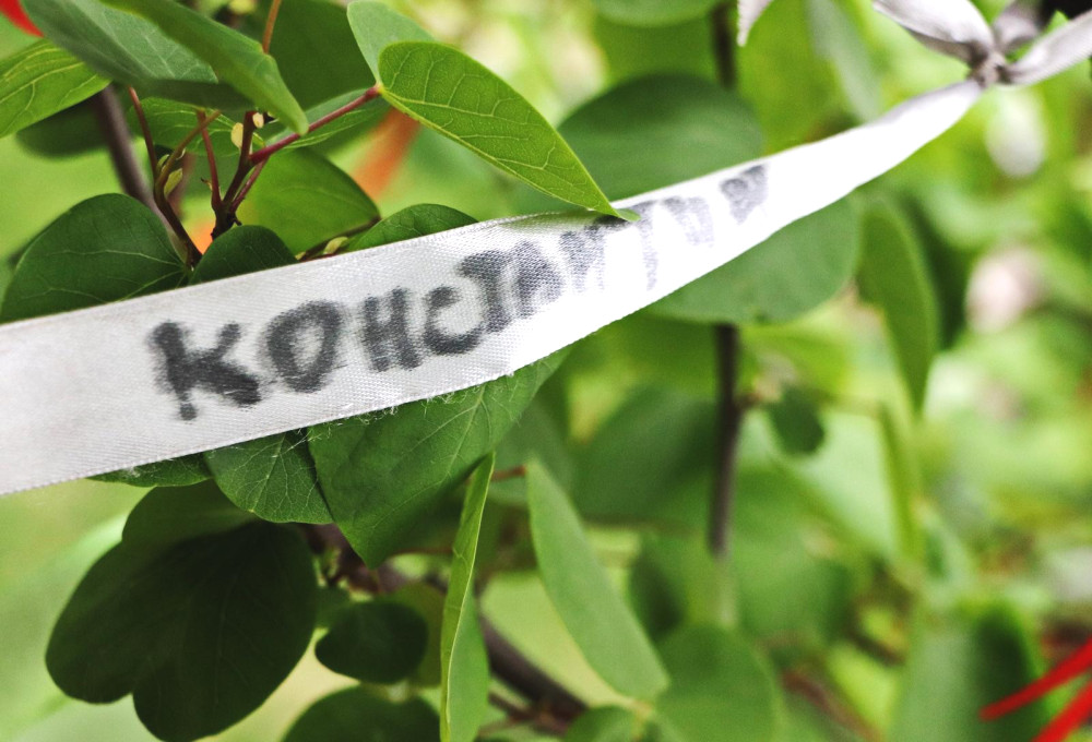 3730 image for slide