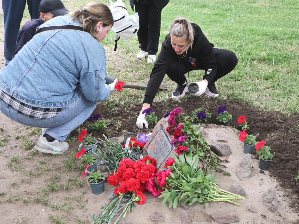 3731 image for slide