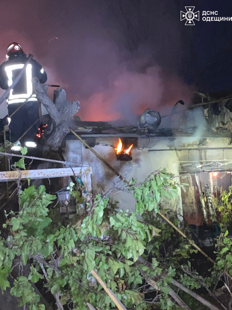 3892 image for slide