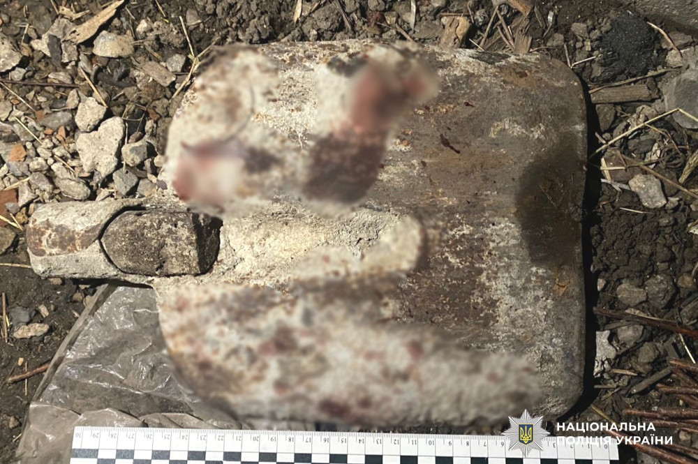 4043 image for slide