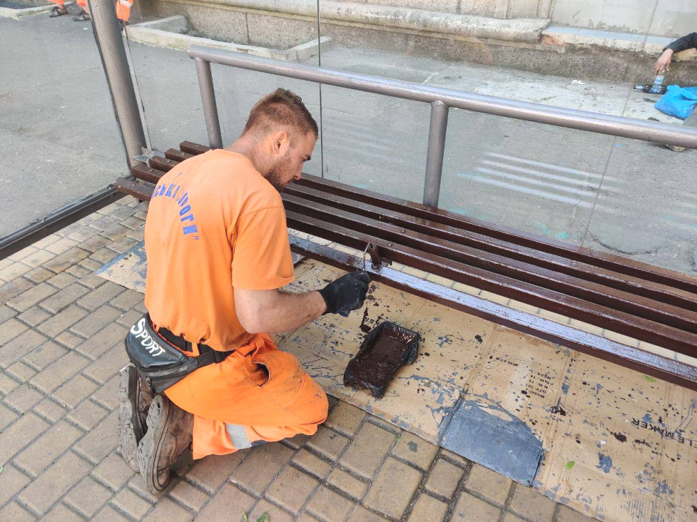 4217 image for slide