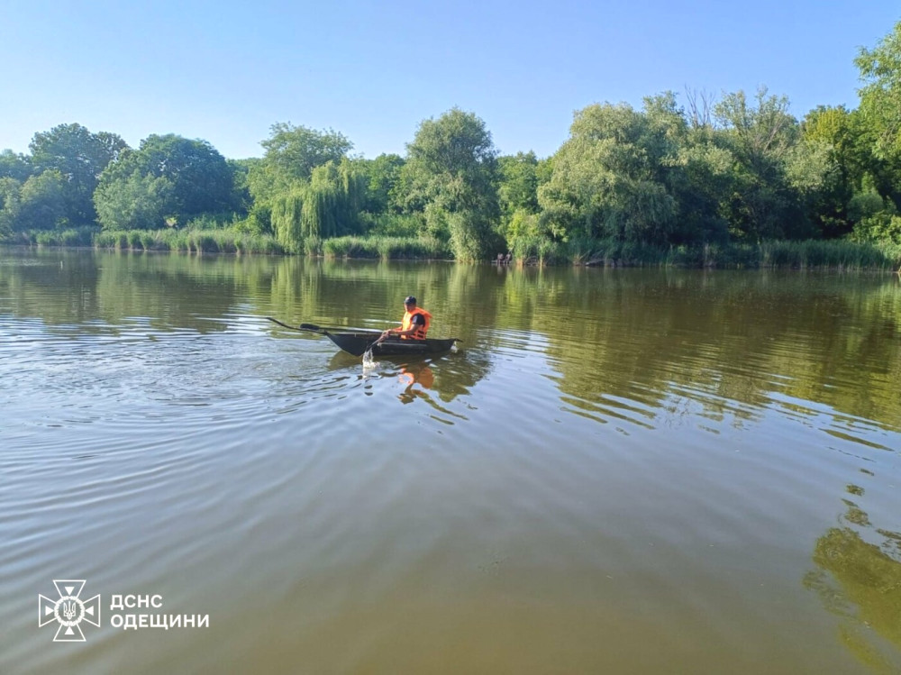 4291 image for slide