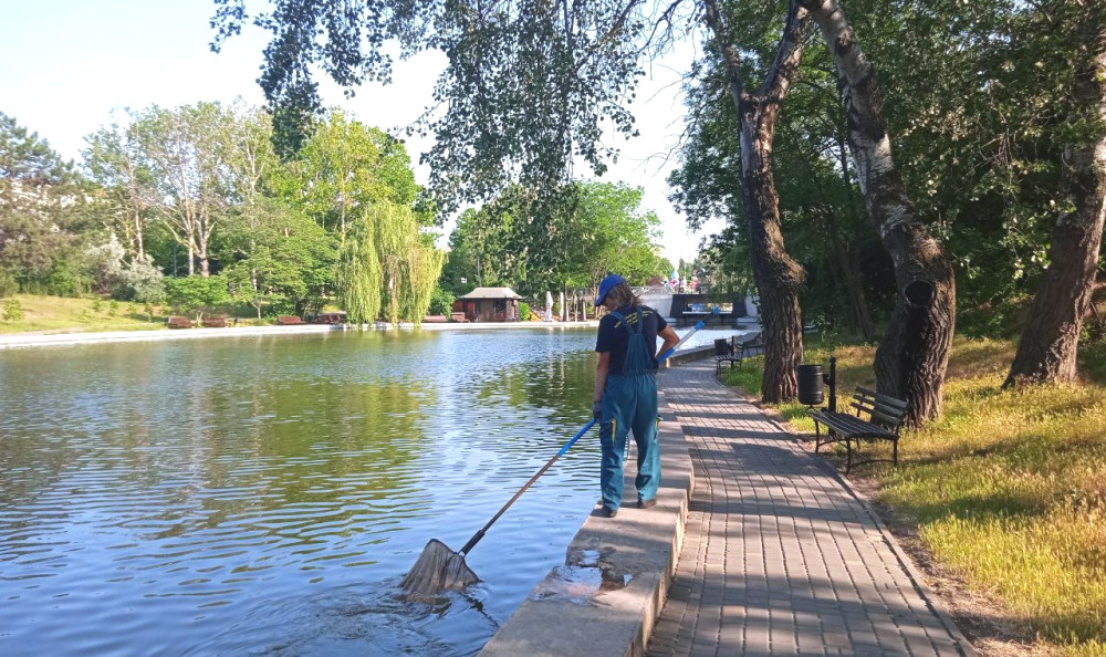 4563 image for slide