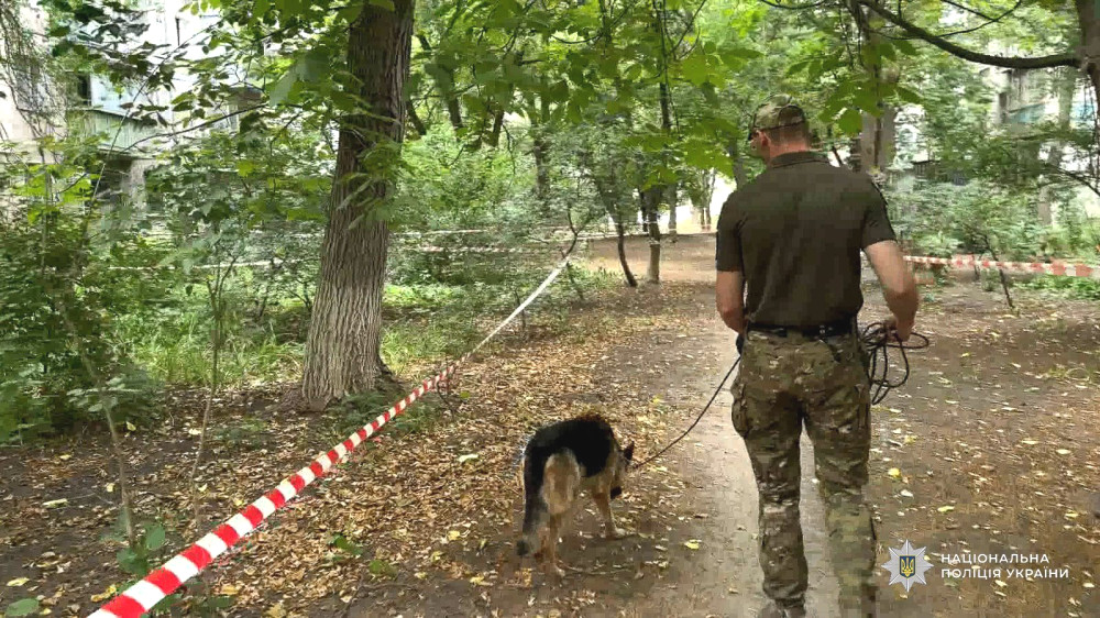 4738 image for slide