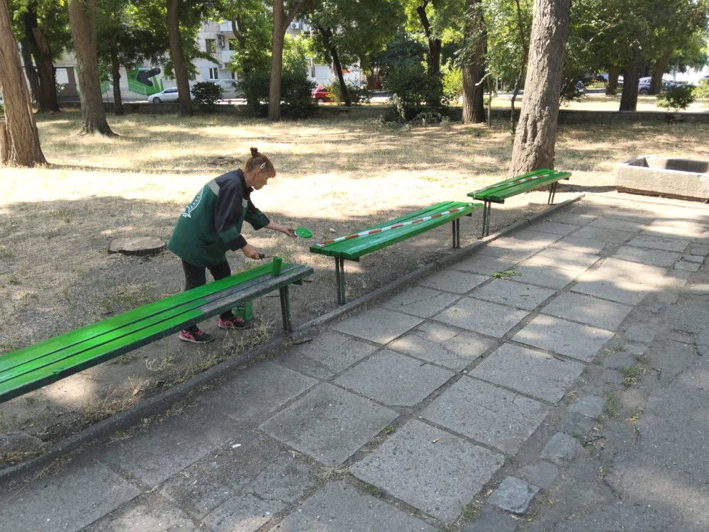 6135 image for slide