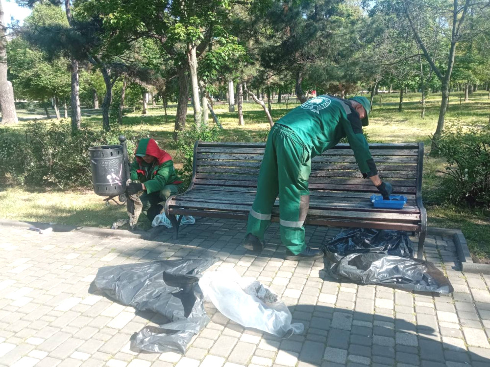 6141 image for slide