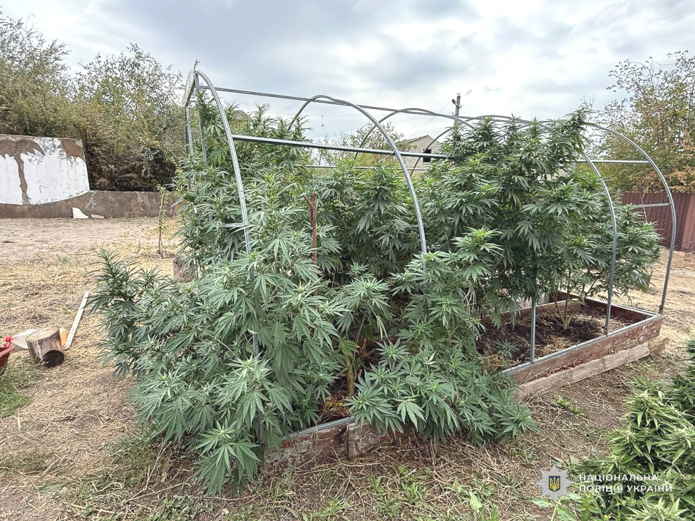 7093 image for slide