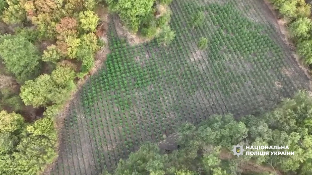 7098 image for slide