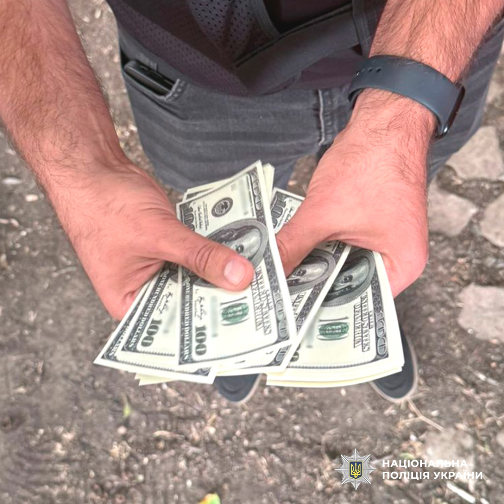 7238 image for slide