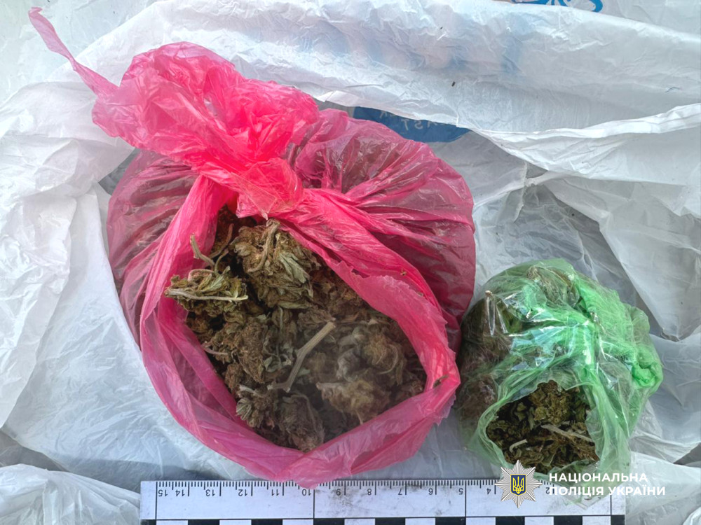 8293 image for slide