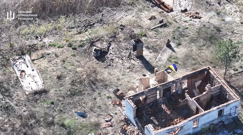 8446 image for slide