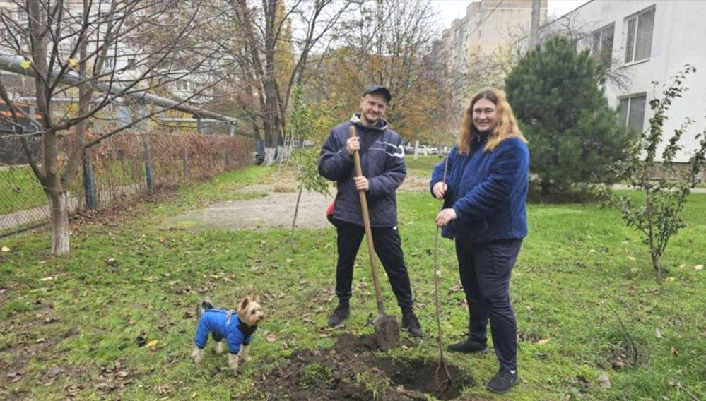 8509 image for slide