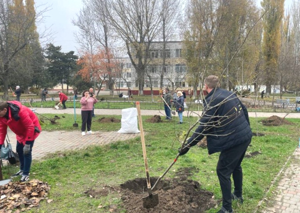 8510 image for slide