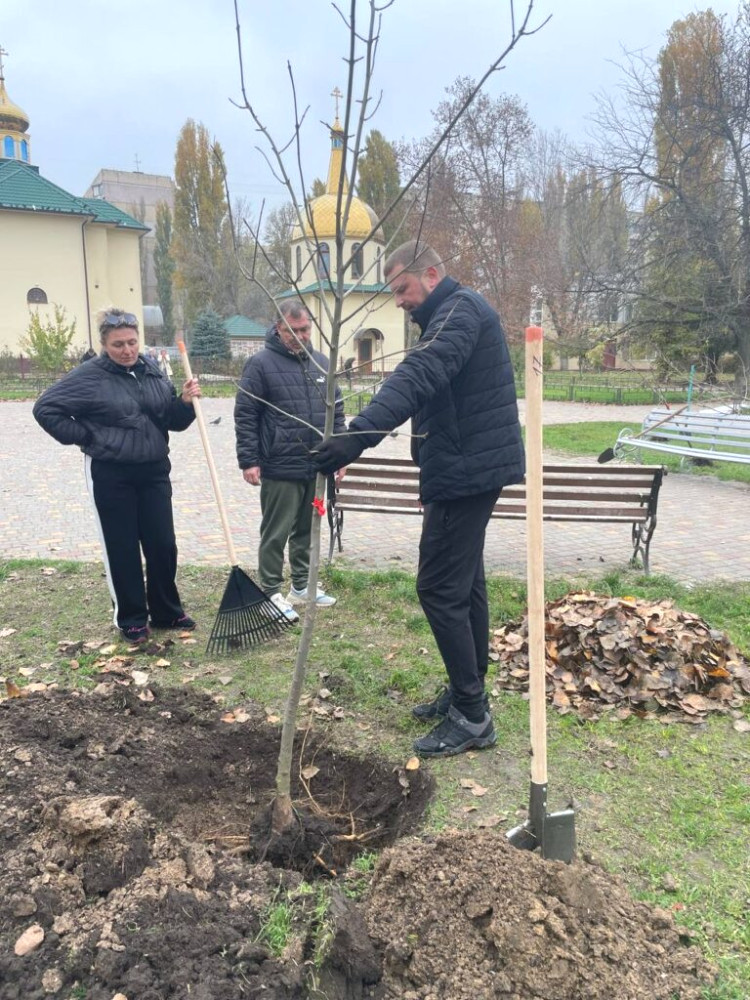 8512 image for slide