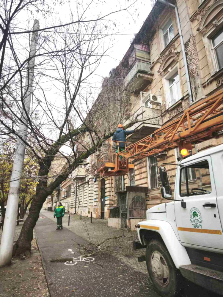 8709 image for slide