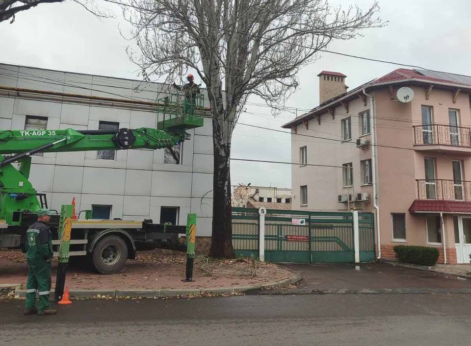 8710 image for slide