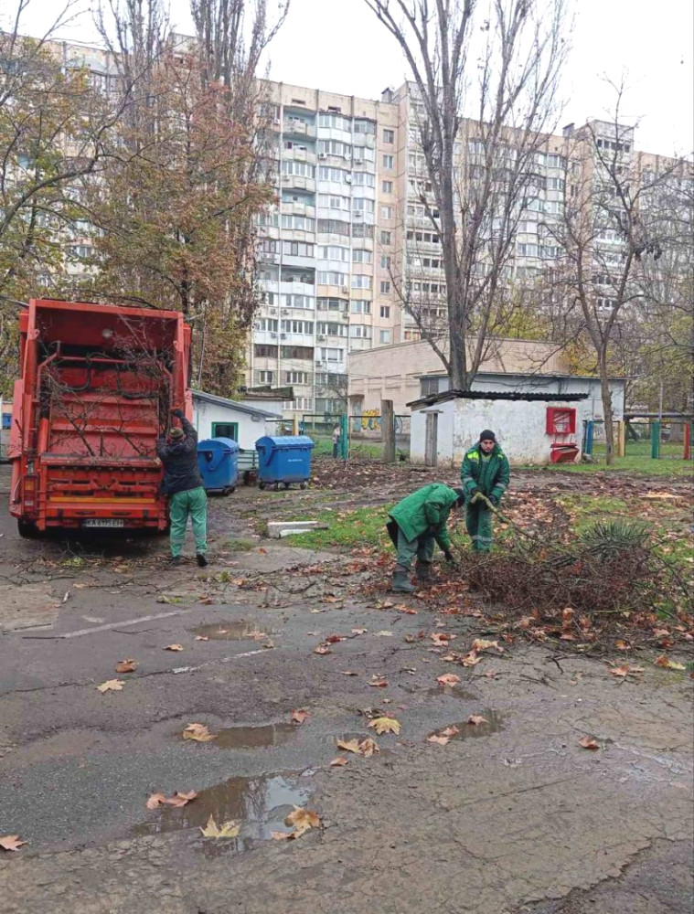 8711 image for slide