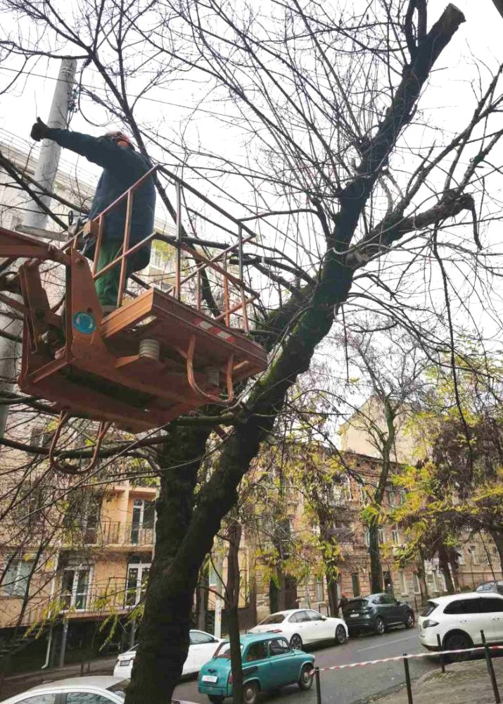 8712 image for slide