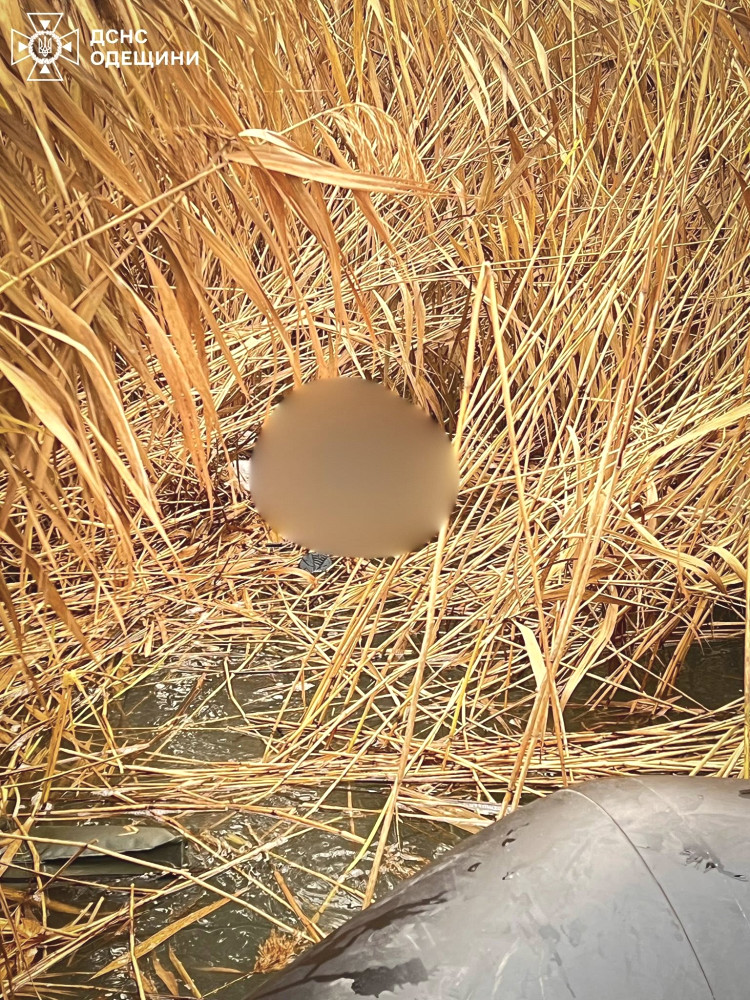 8716 image for slide