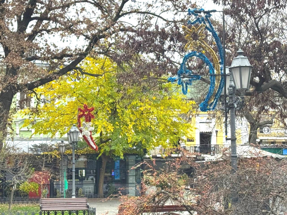 8771 image for slide