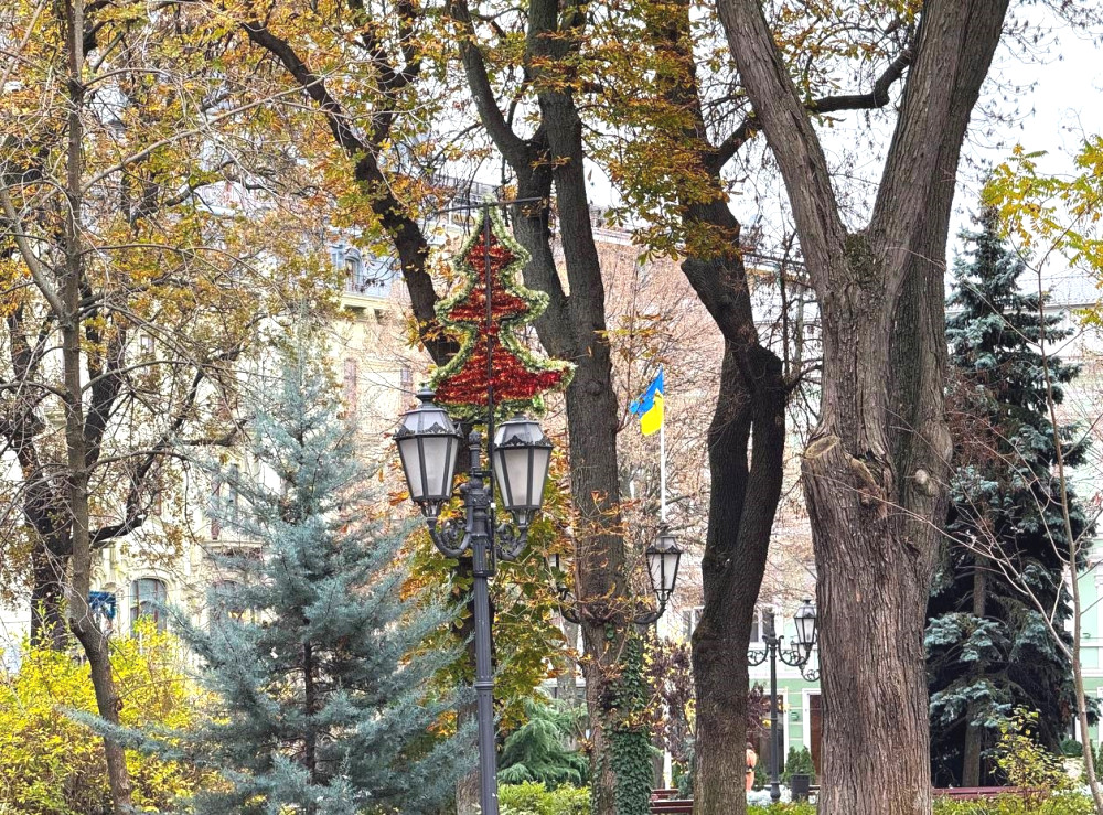 8773 image for slide