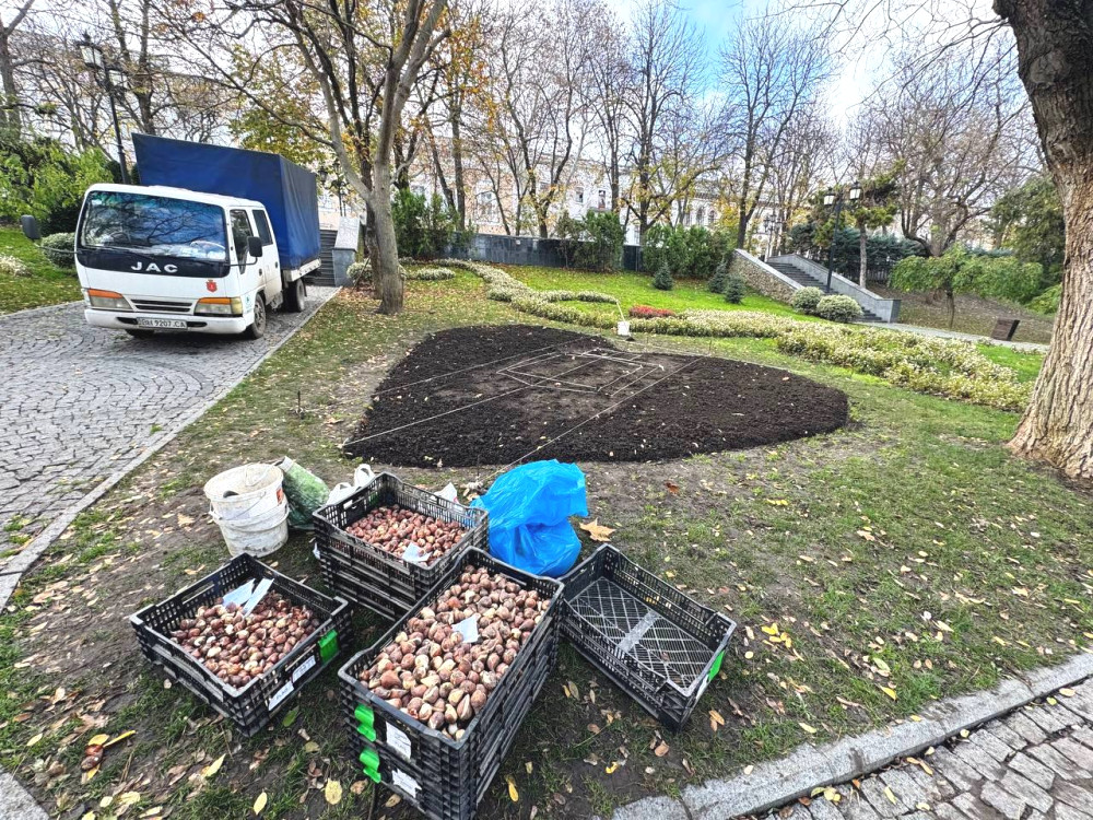 8814 image for slide