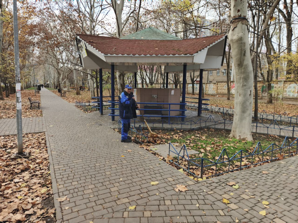 8882 image for slide