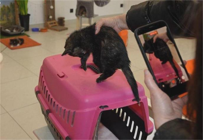 9087 image for slide