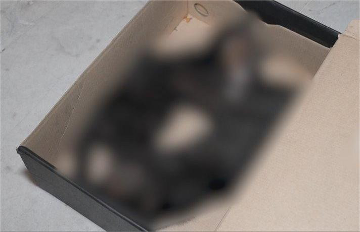 9089 image for slide