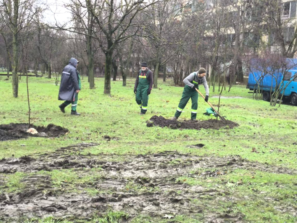 9186 image for slide