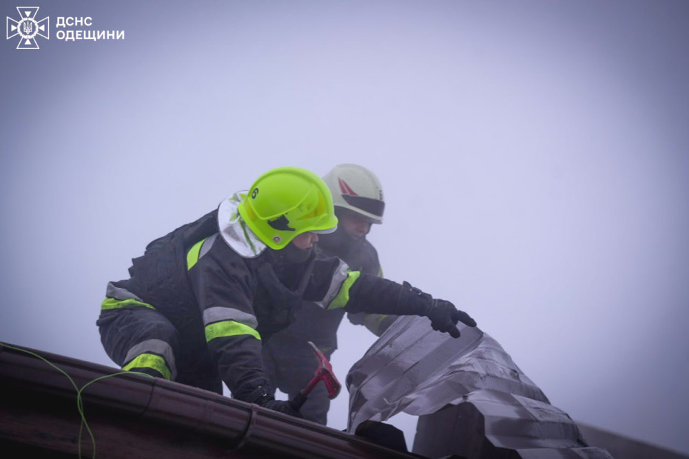 9219 image for slide