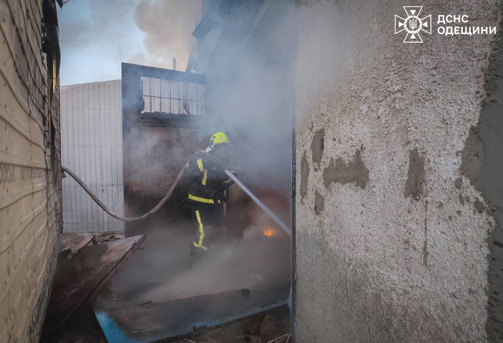 9231 image for slide