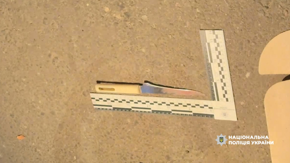 9259 image for slide